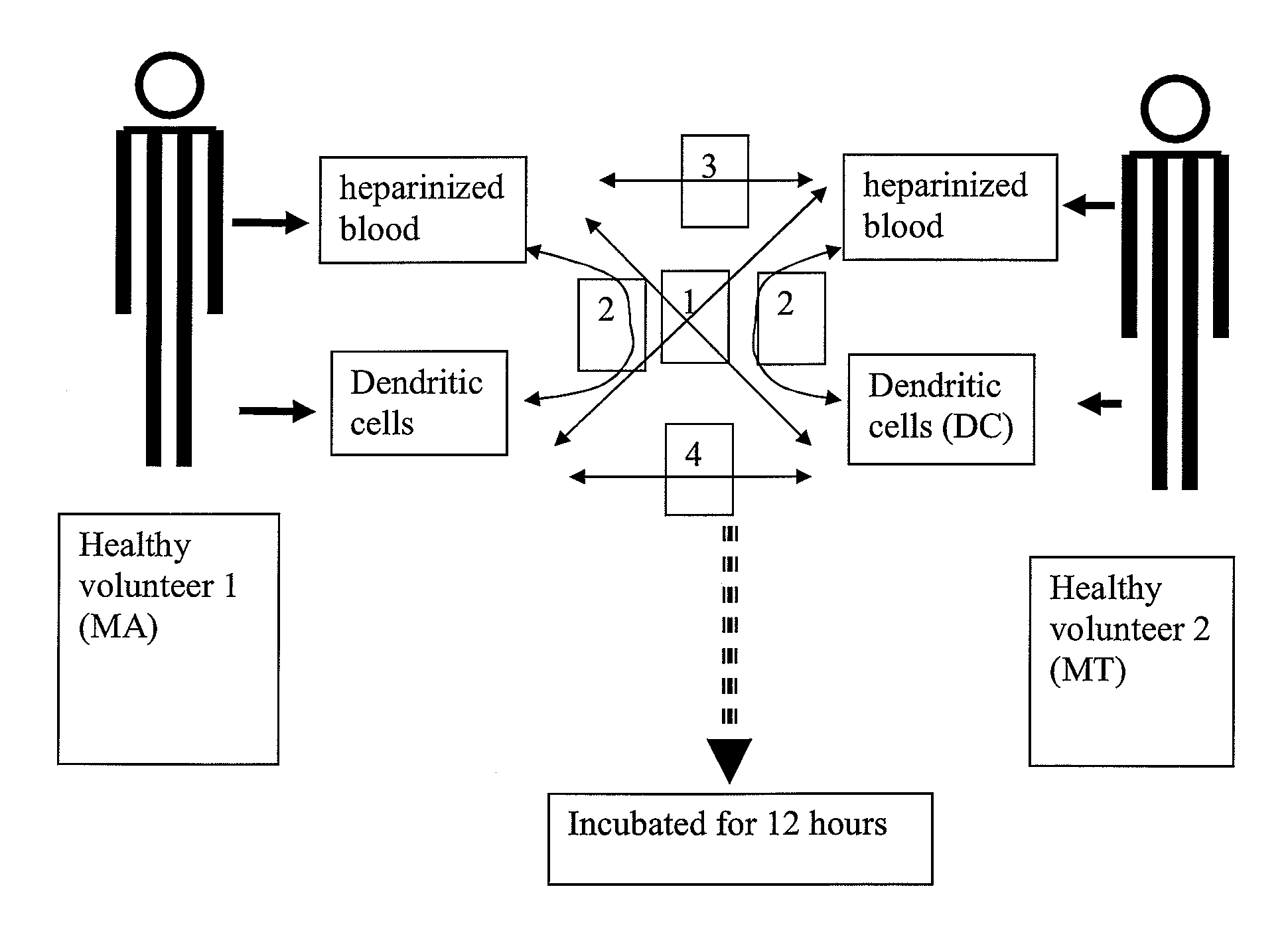 Device, kit and method for pulsing biological samples with an agent and stabilising the sample so pulsed