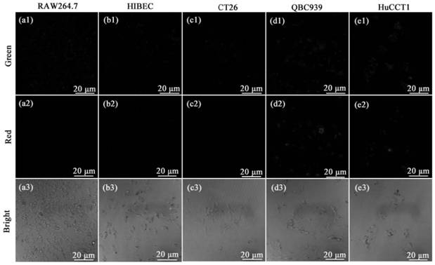 A kind of fluorescent probe molecule and its preparation method and application