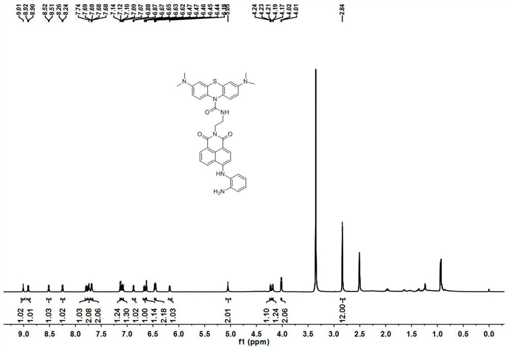 A kind of fluorescent probe molecule and its preparation method and application