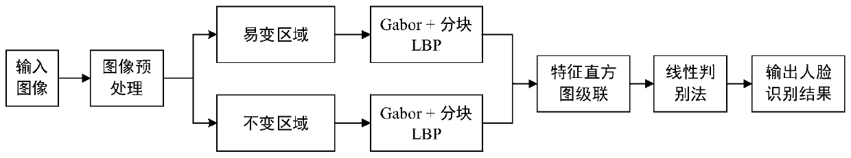 Regional feature extraction face recognition method