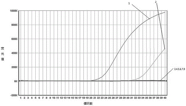 A primer, probe and kit for specific detection of type 2 ungulate boca parvovirus