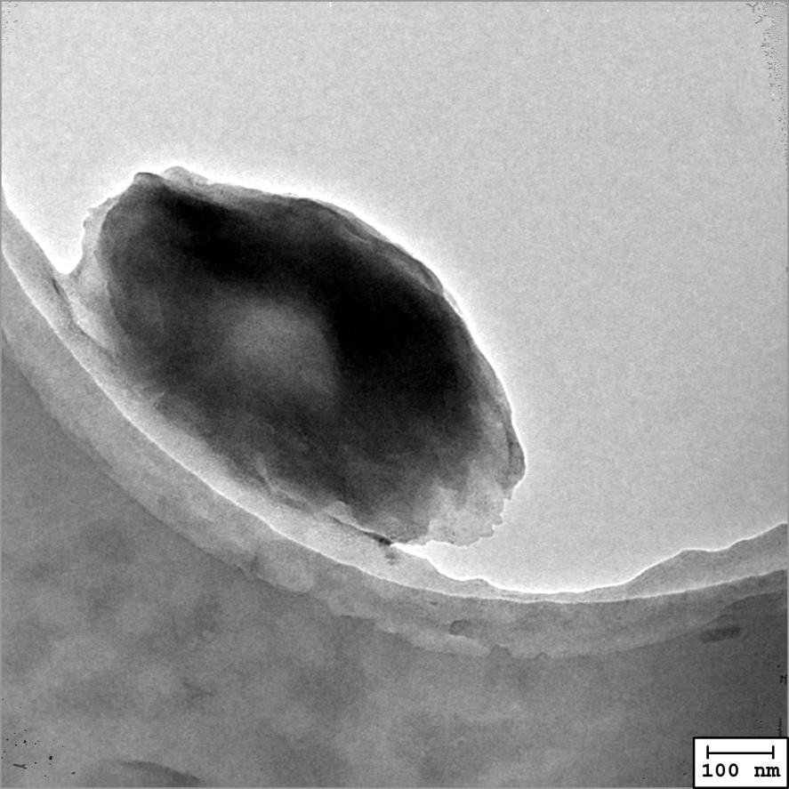 A preparation method of baicalein drug-loaded nanorods