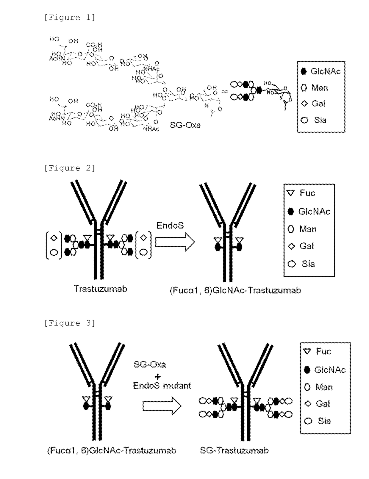 Novel endos mutant enzyme