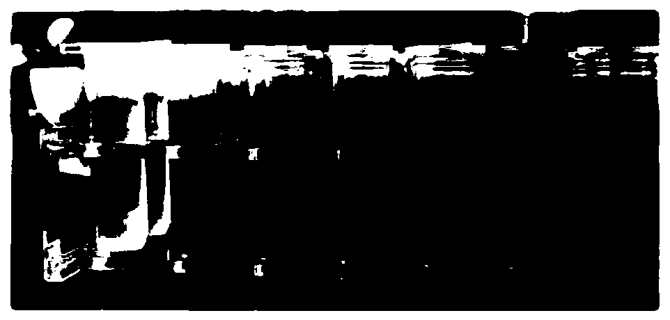 Method using laccase catalysis to prepare polyaniline