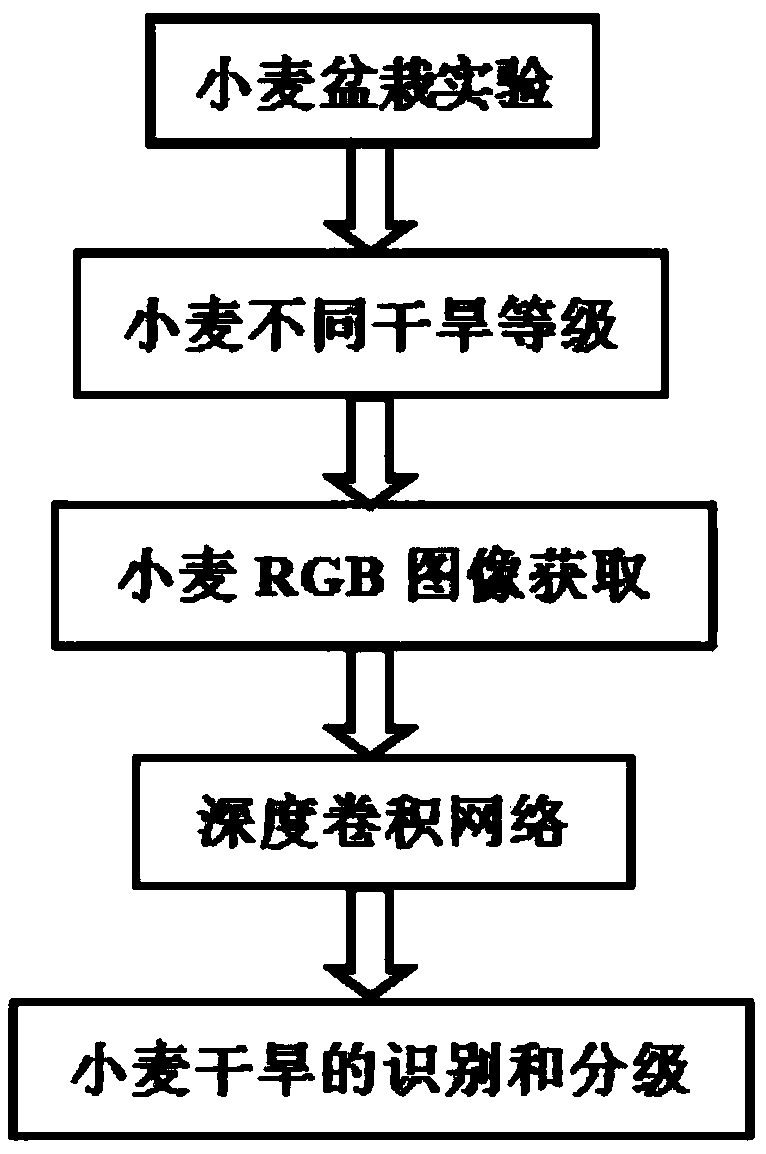 Wheat drought recognition method based on image depth learning