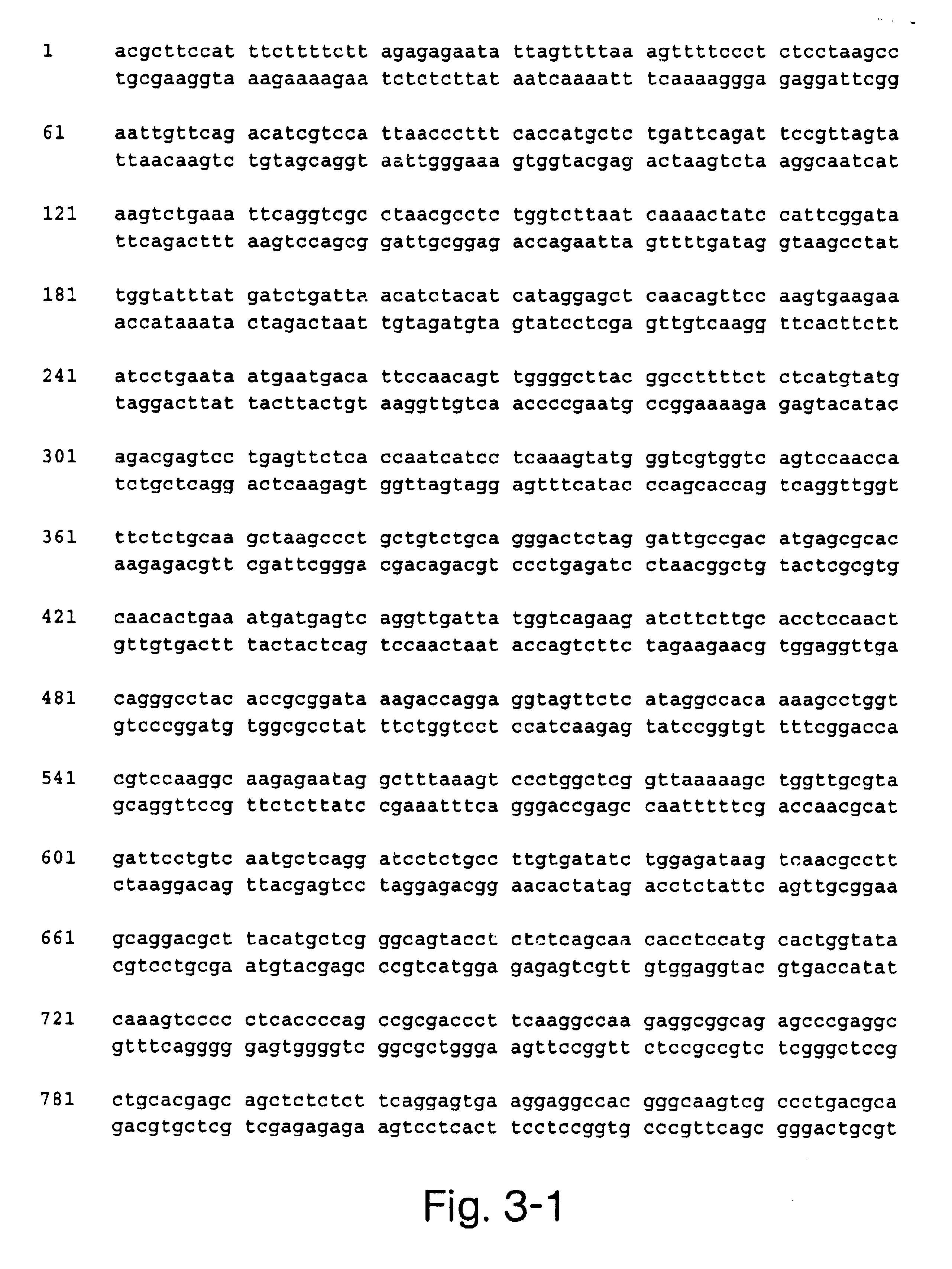 Methods and compositions for detecting cancers associated with methylation of hMLH1 promoter DNA