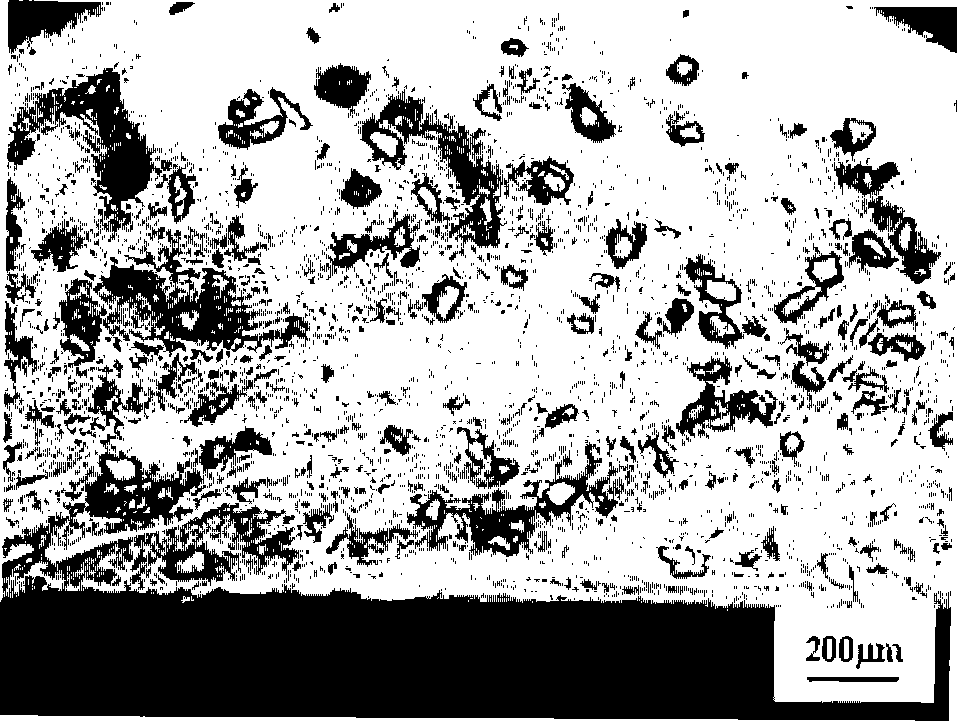 Laser cladding method for strengthening surface of piercing point