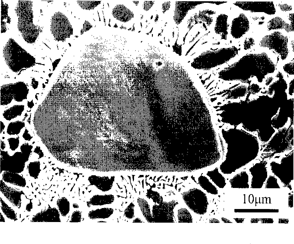 Laser cladding method for strengthening surface of piercing point