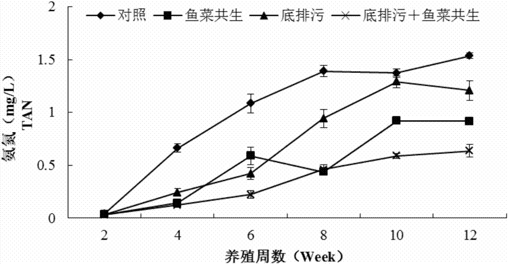 Culture method for reducing oreochromis mossambicus peculiar smells