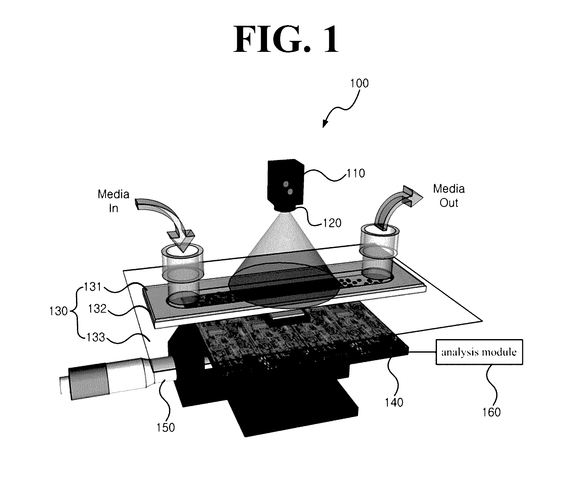 Apparatus for measuring cell activity and method for analyzing cell activity