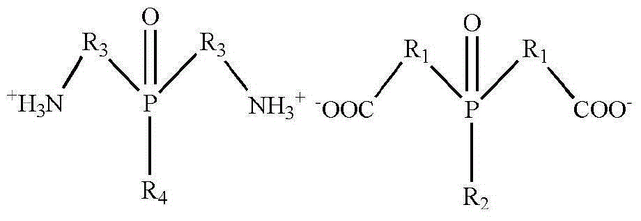 Bi-phosphorous flame-retardant copolymer nylon and preparation method thereof