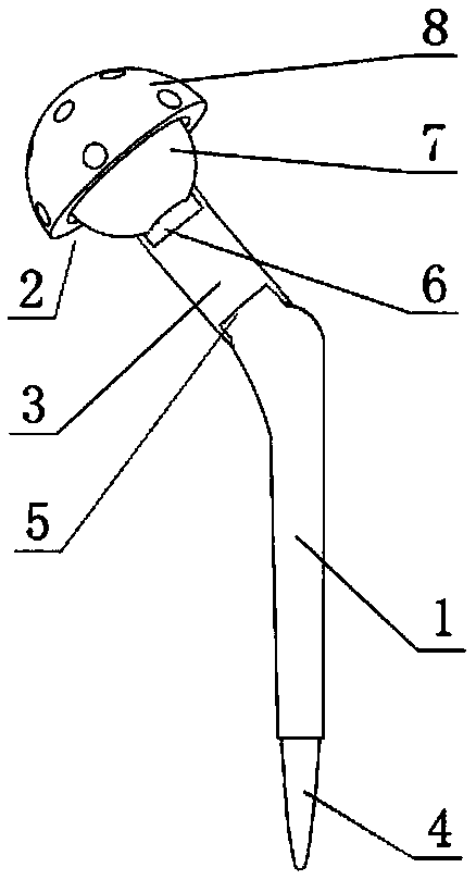 Artificial hip replacement device