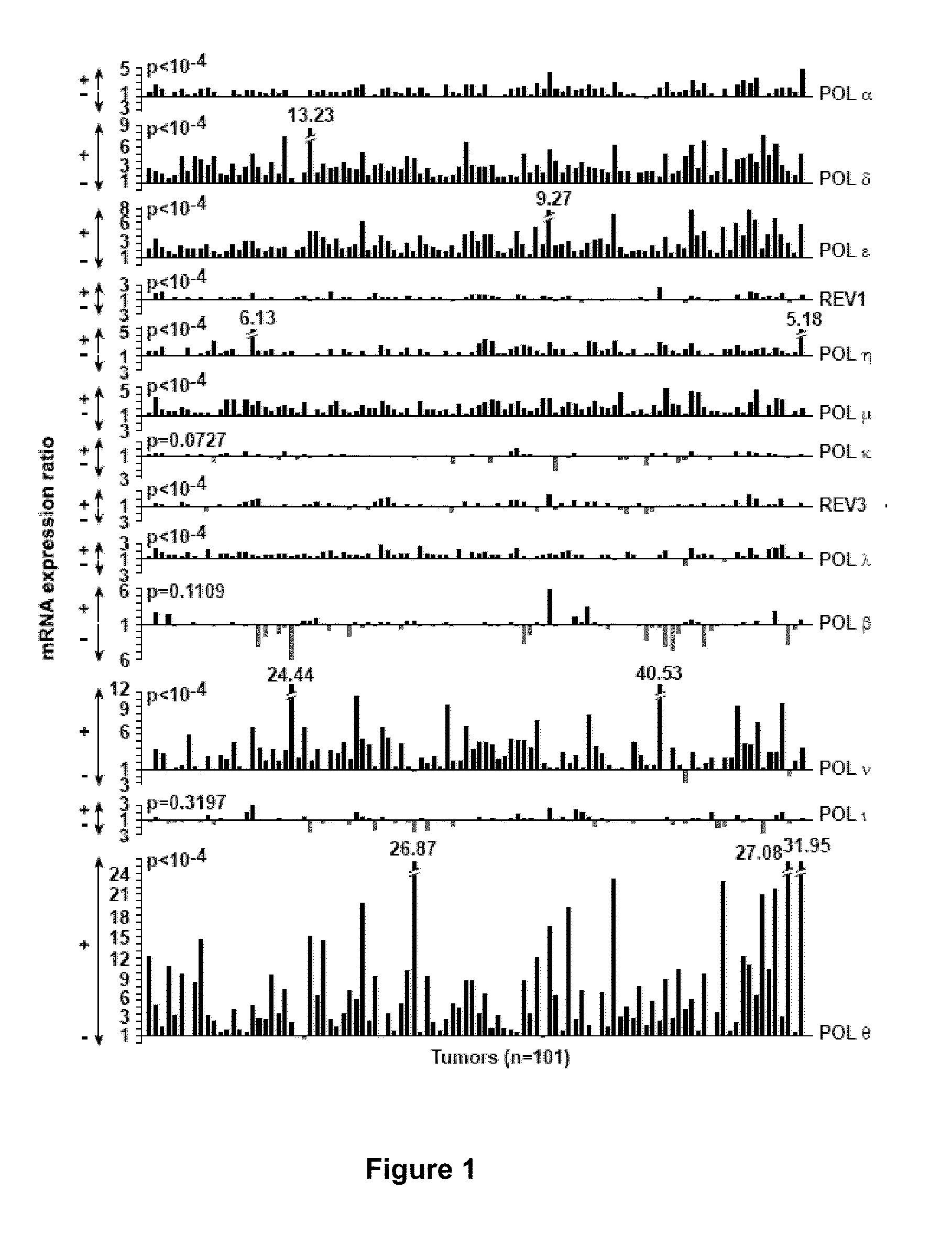 Signature for the diagnosis of cancer aggressiveness and genetic instability