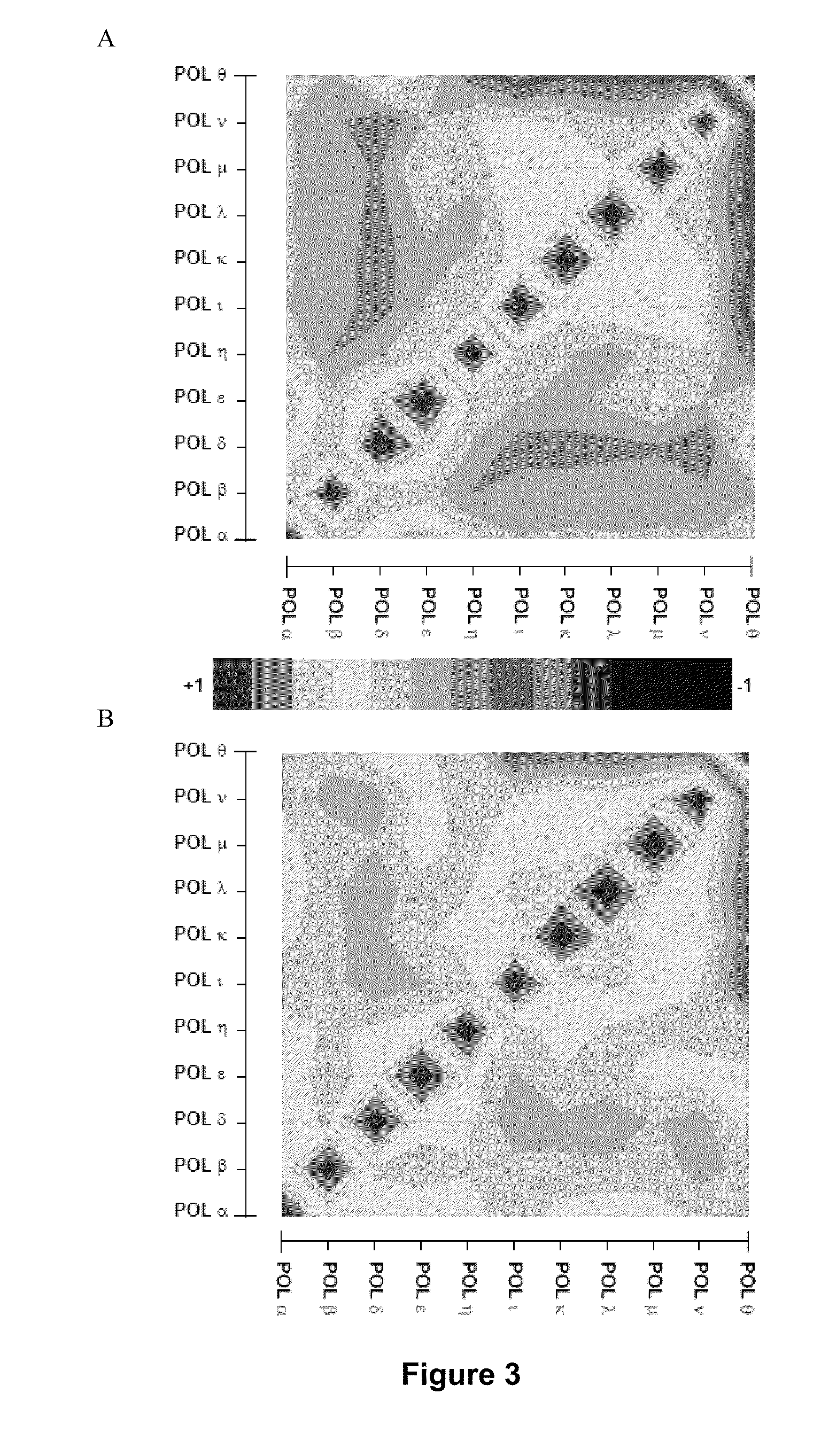 Signature for the diagnosis of cancer aggressiveness and genetic instability