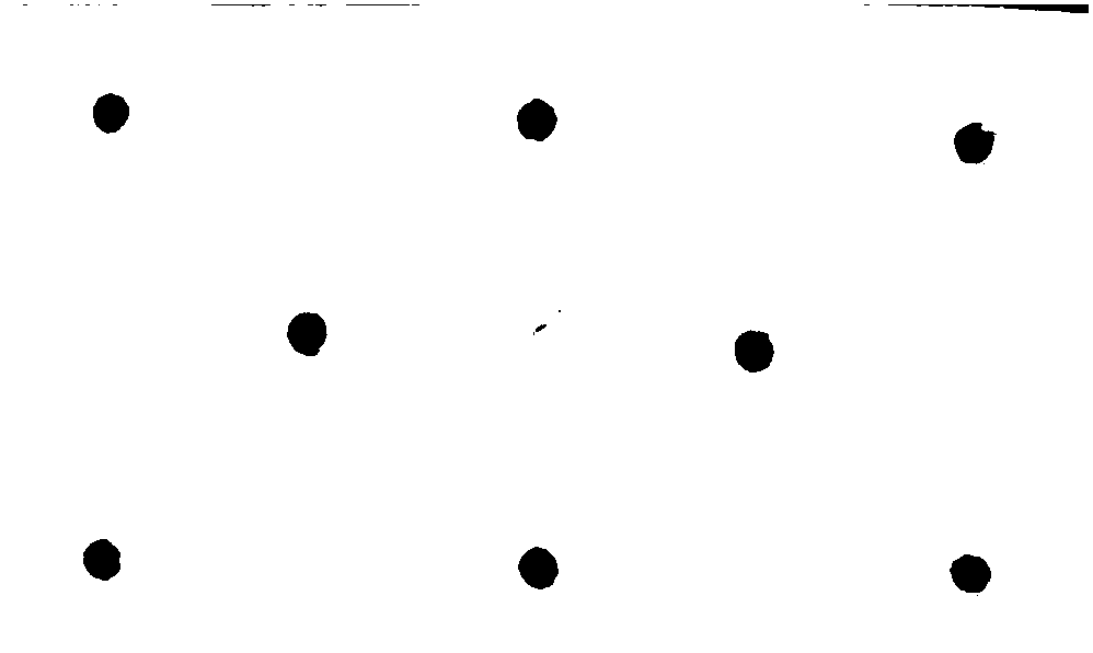 Multiple crosslinking breast patch and preparation method thereof