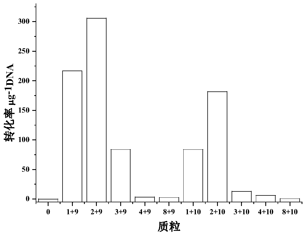 Optimized culture method and application of butyribacterium methylotrophium