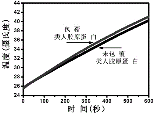 Application of using protein-coated iron-based magnetic nano-particle as magnetic hyperthermia agent