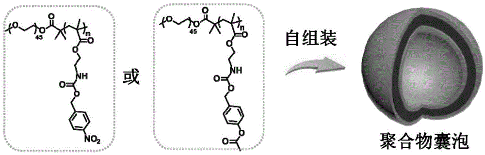 Amphiphilic polymer as well as preparation method and application thereof