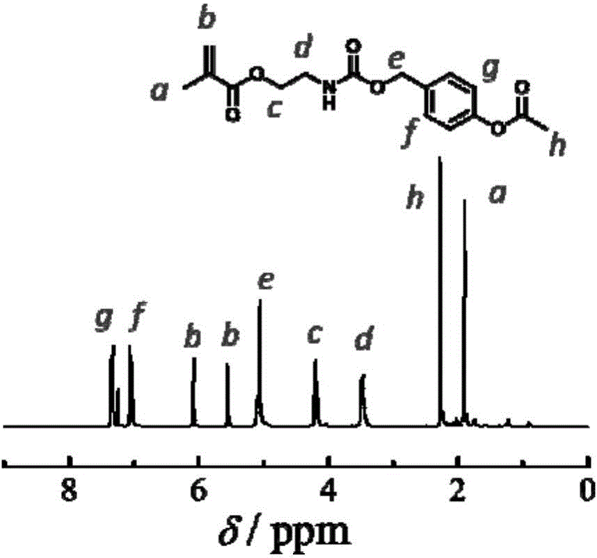 Amphiphilic polymer as well as preparation method and application thereof