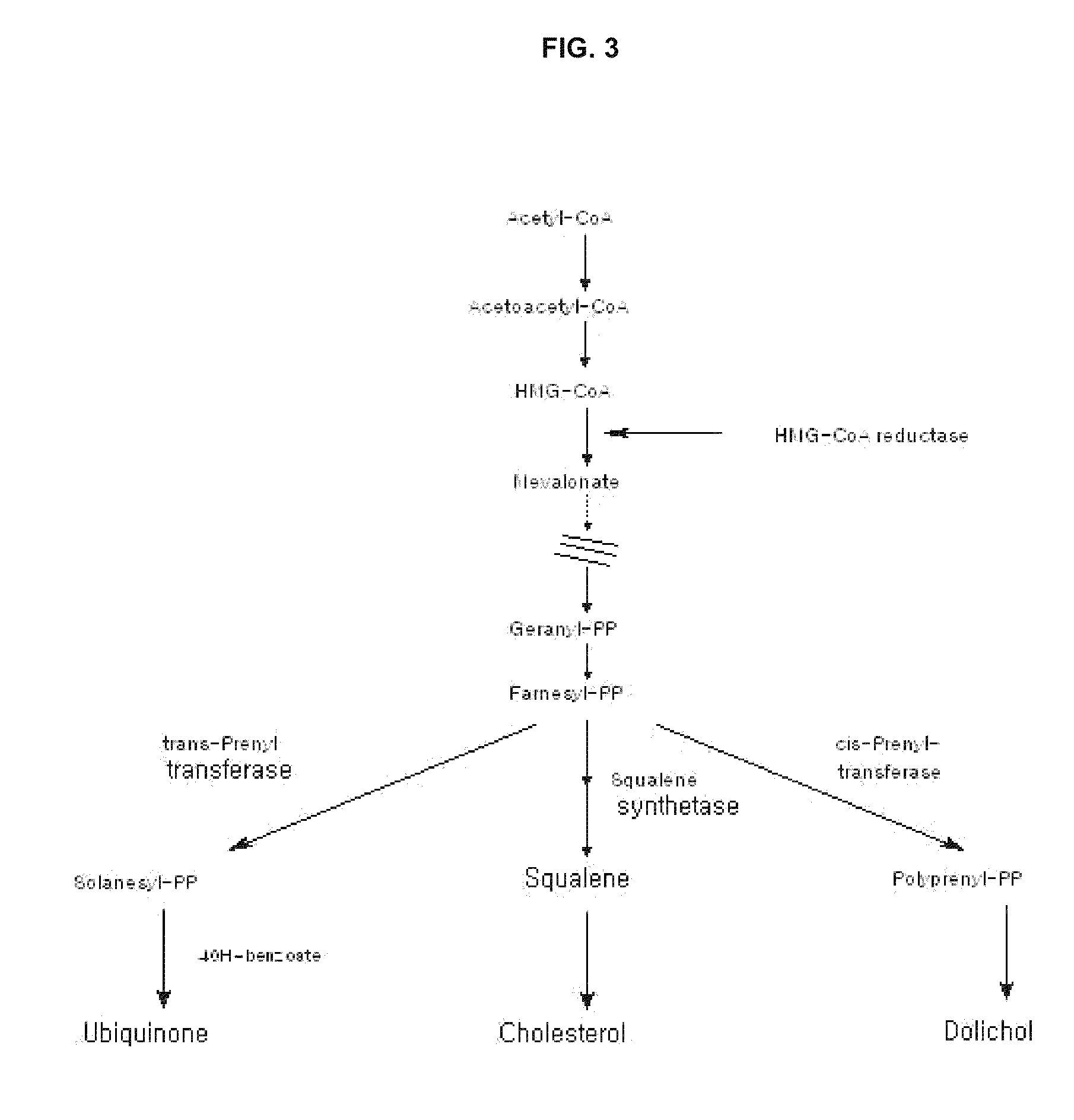 Pharmacological composition whereby statin and COQ10 compounds are enhanced