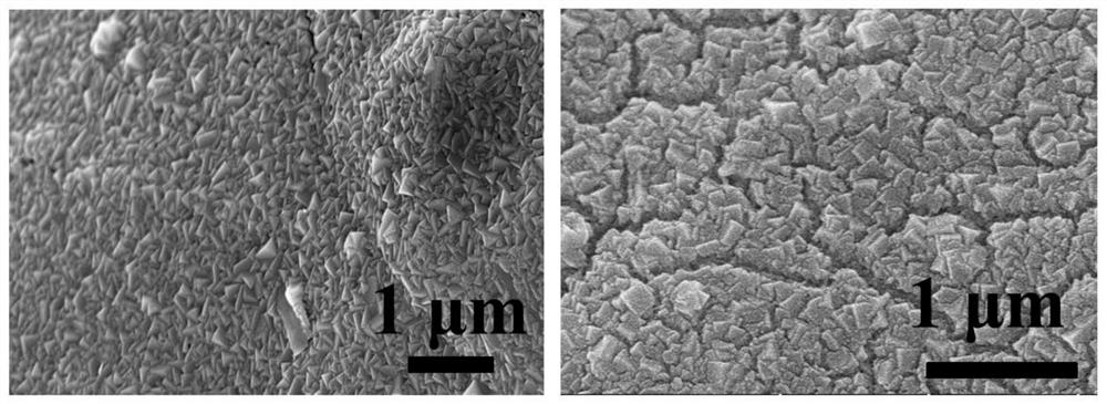 A kind of preparation method of electrocatalytic oxygen generation film electrode material and its product and application