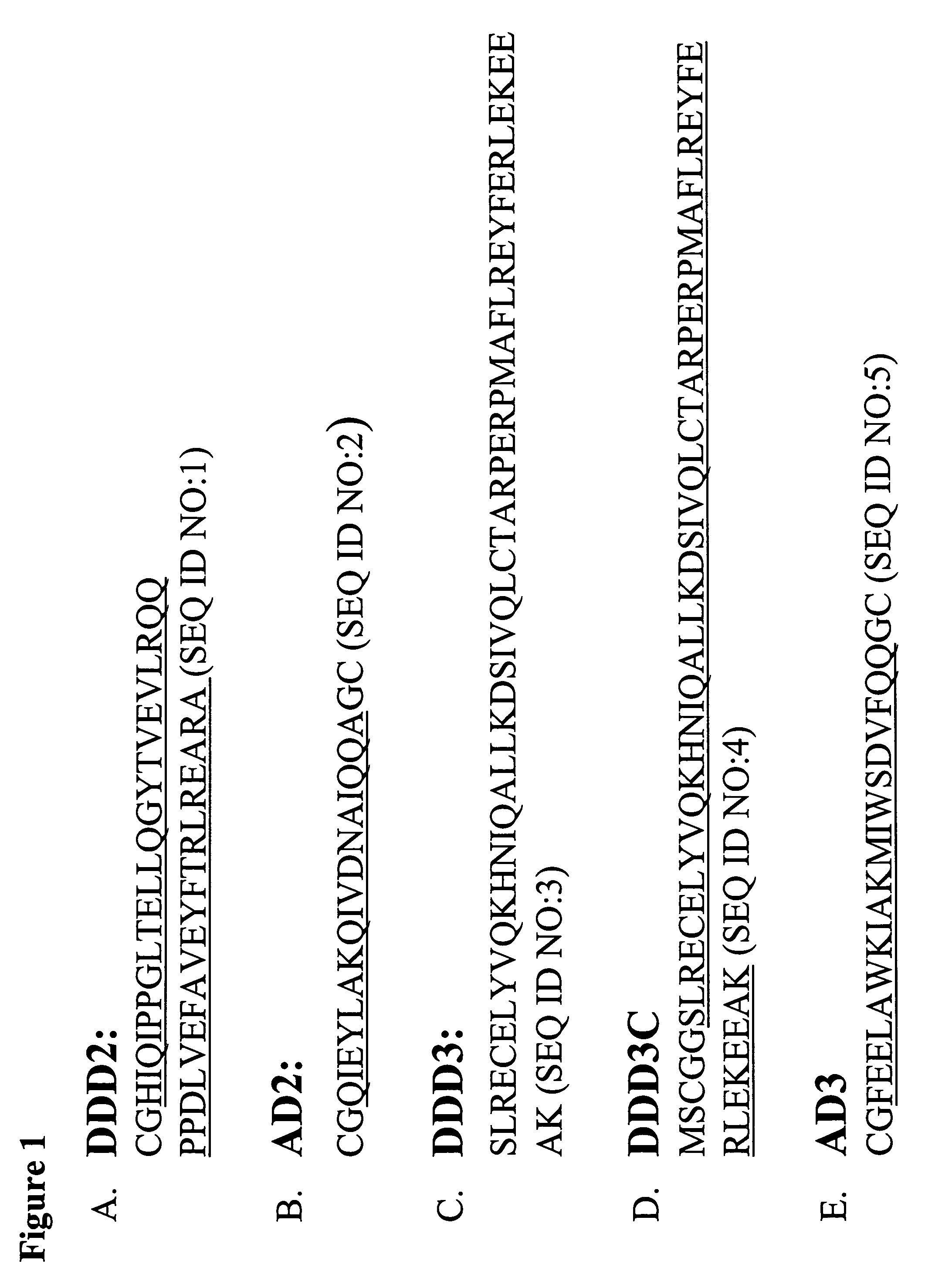 Methods and compositions for generating bioactive assemblies of increased complexity and uses