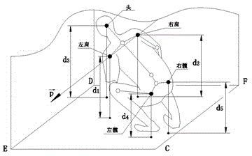 Automatic human tumble detecting method based on Kinect skeleton tracking