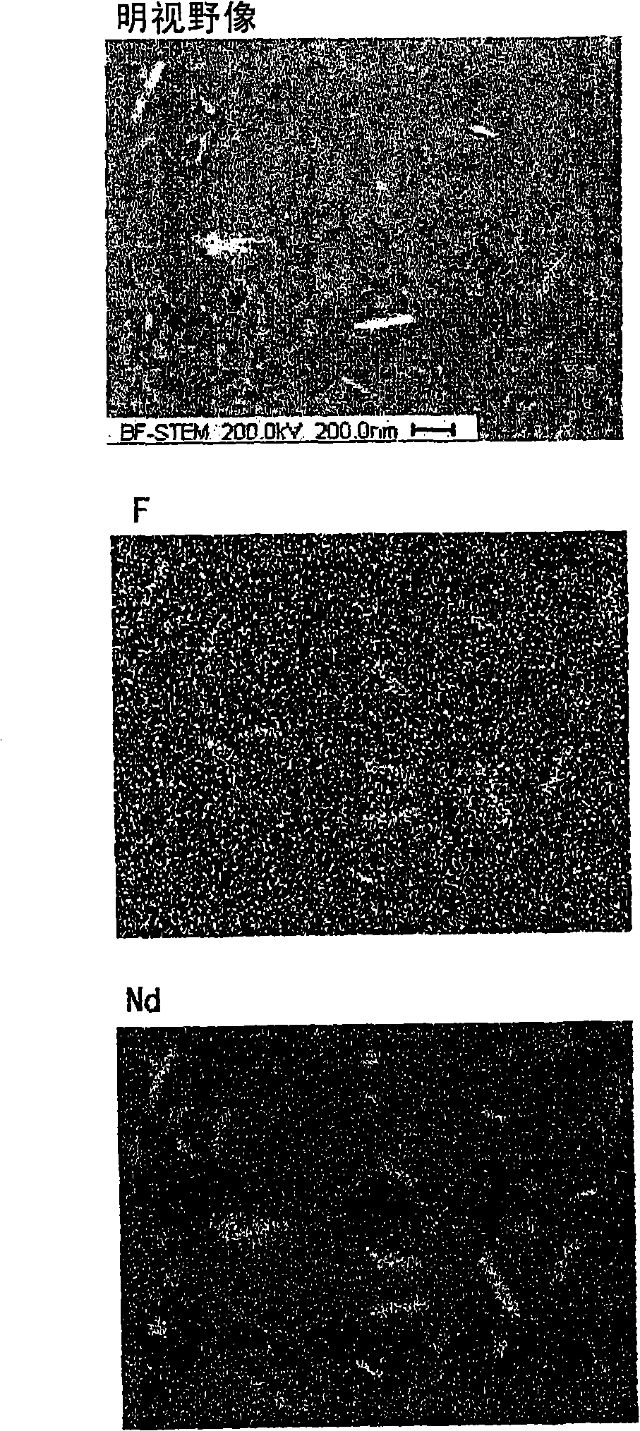 Rare earth magnet and manufacturing method thereof