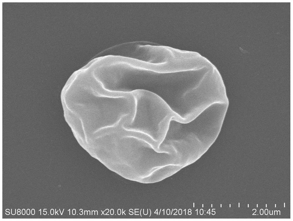 A kind of preparation method of chlorella cell surface oxygen consumption protection layer