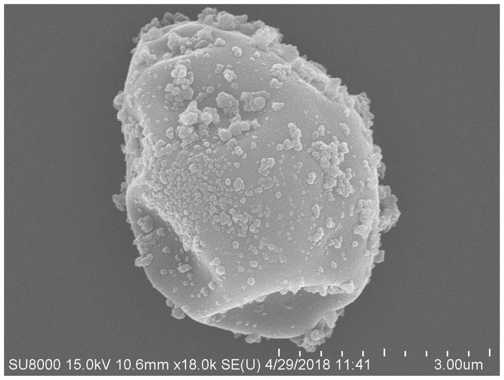 A kind of preparation method of chlorella cell surface oxygen consumption protection layer