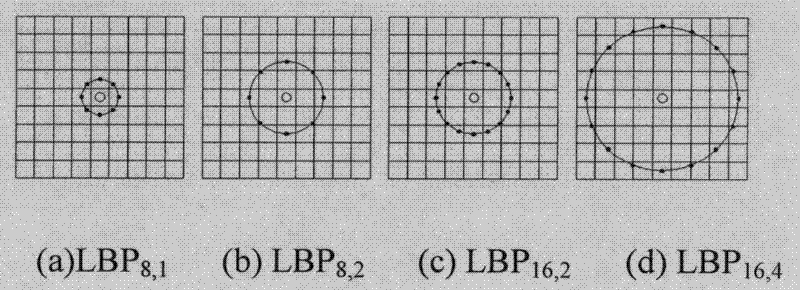 LBP (Local Binary Pattern) image and block encoding-based iris feature extracting method