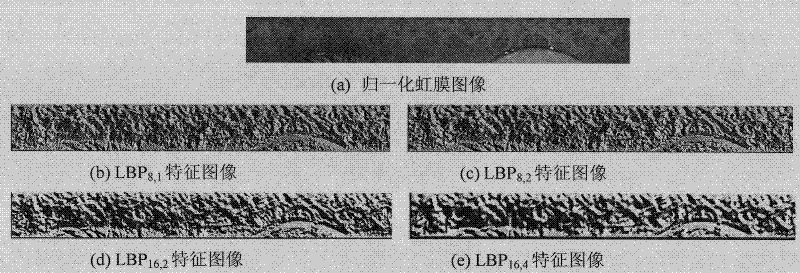 LBP (Local Binary Pattern) image and block encoding-based iris feature extracting method