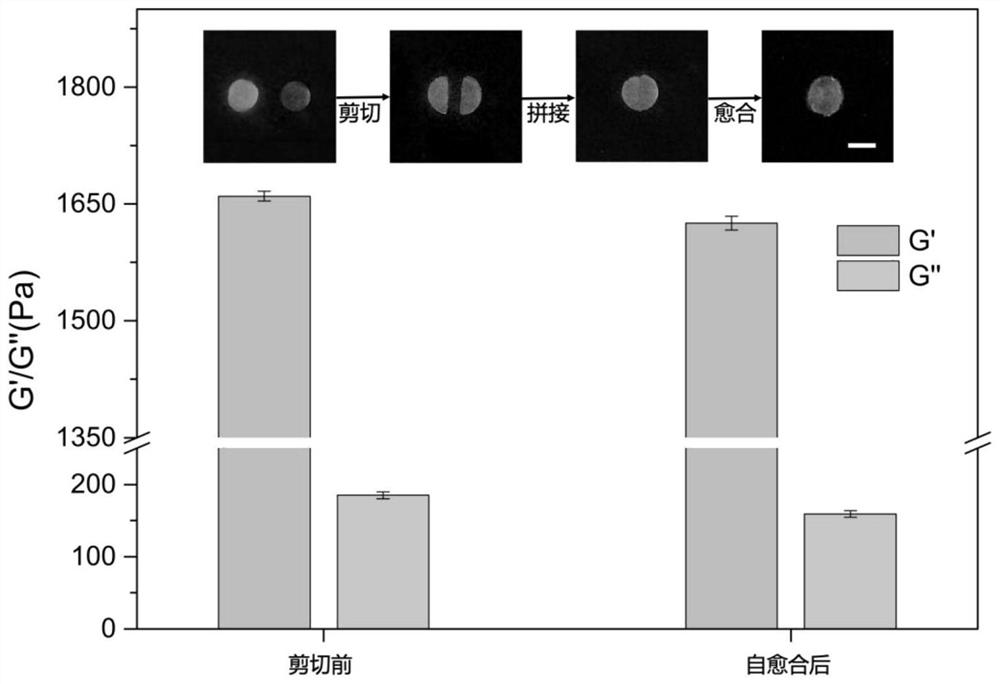 Nucleic acid hydrogel with improved mechanical properties as well as preparation method and application thereof