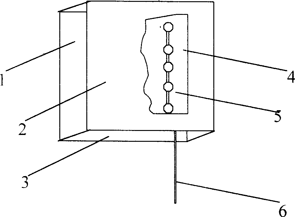 Integrated crystal electric neon light and its making process