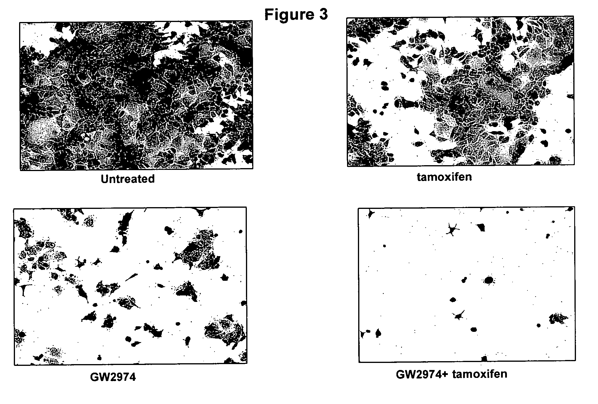 Targeted therapy marker panels