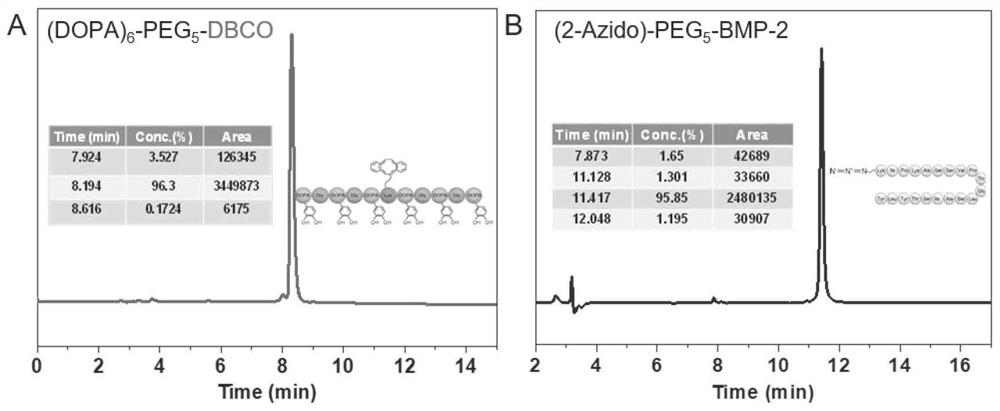 Osteoinductive and immune double-effect coating, preparation method and application in osseointegration