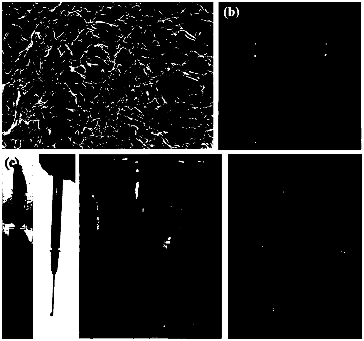 A kind of effervescent drug producing polylactic acid glycolic acid and its preparation method and application