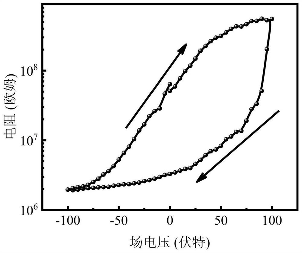 A field-effect memristor based on two-dimensional tellurene nanowires and its fabrication method