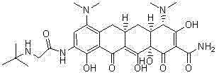 Synthetic method for high-purity tigecycline