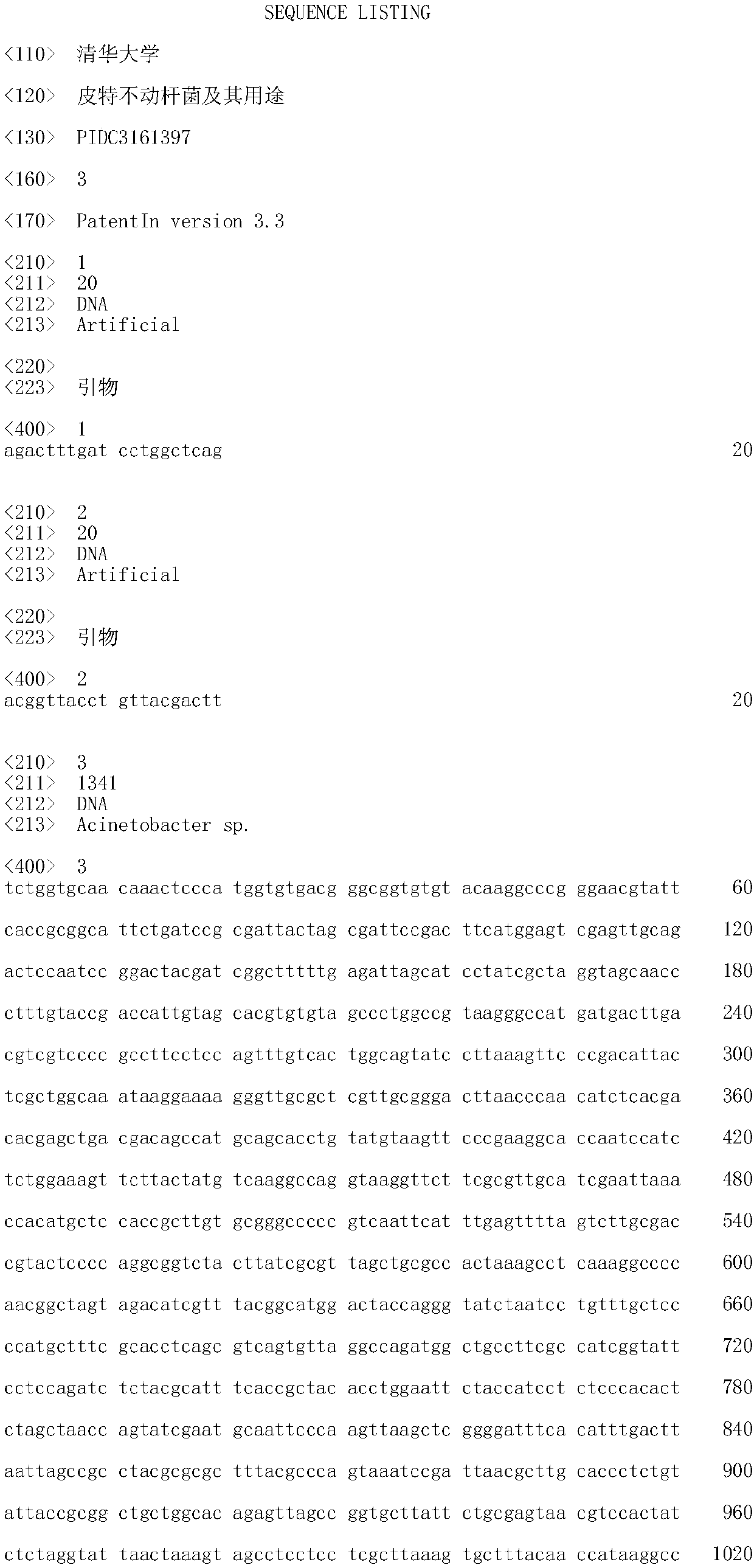 Acinetobacter pitae and its uses