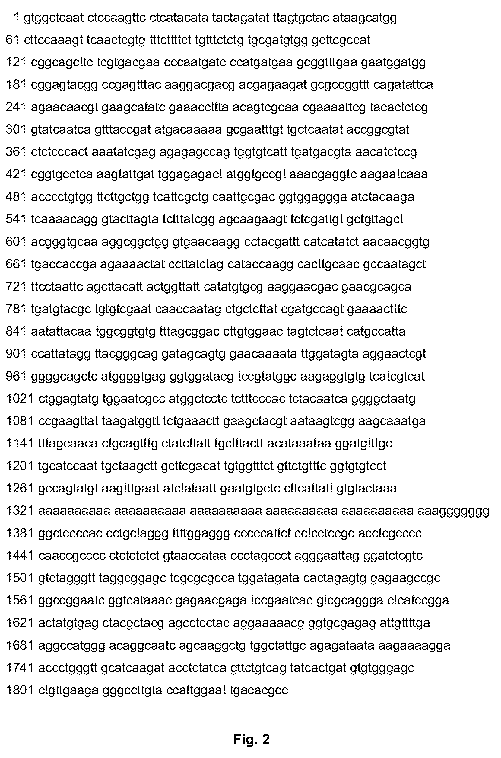 Method for Producing Recombinant Stem Bromelain