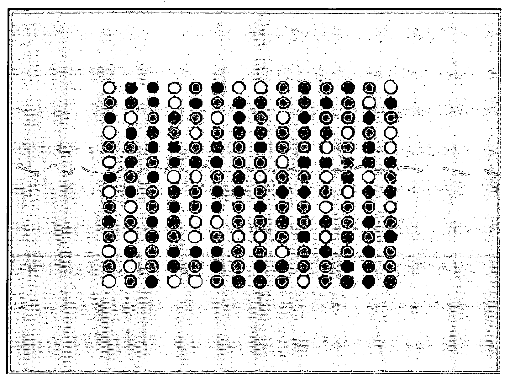 Method for preparing and using personal and genetic profiles