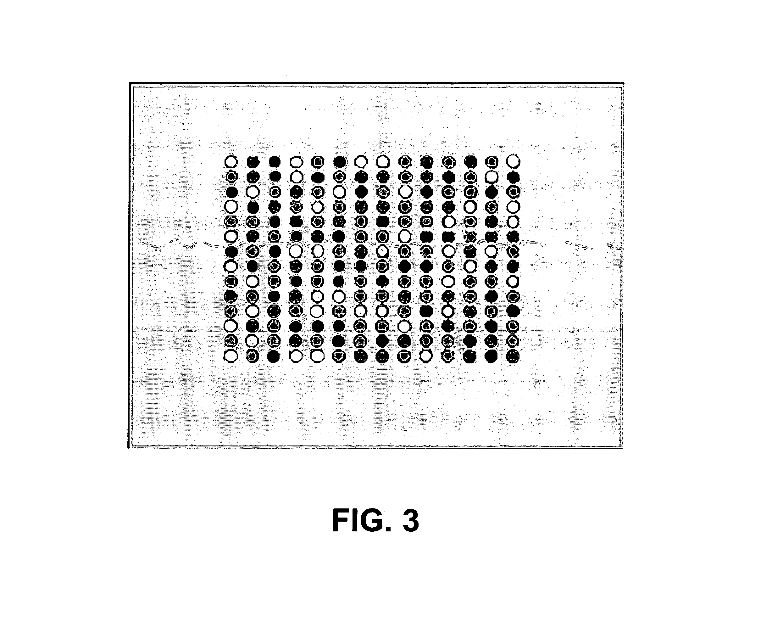 Method for preparing and using personal and genetic profiles