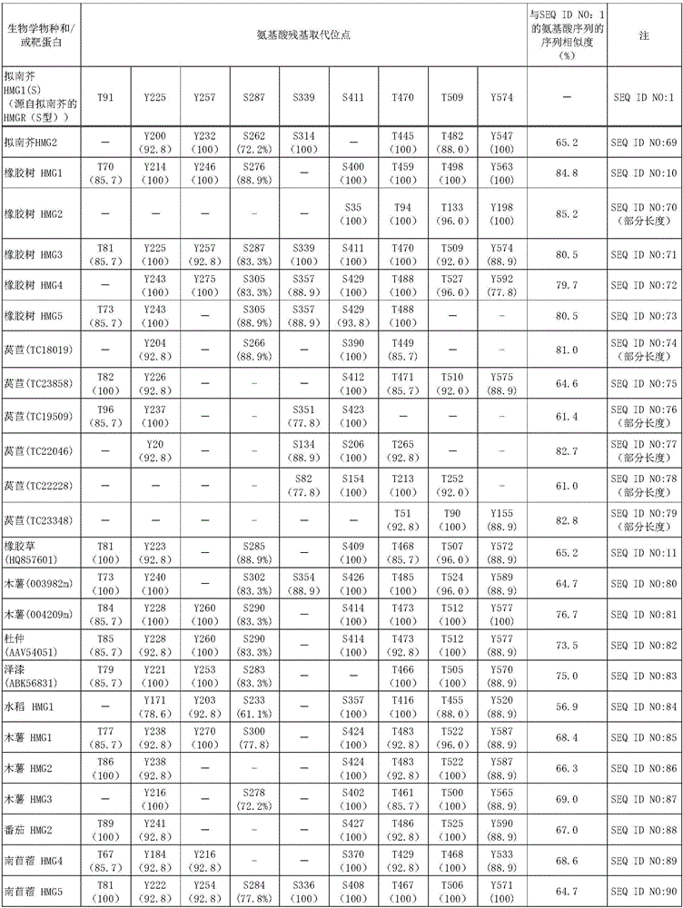 Mutein, method for producing said mutein, and gene encoding said mutein