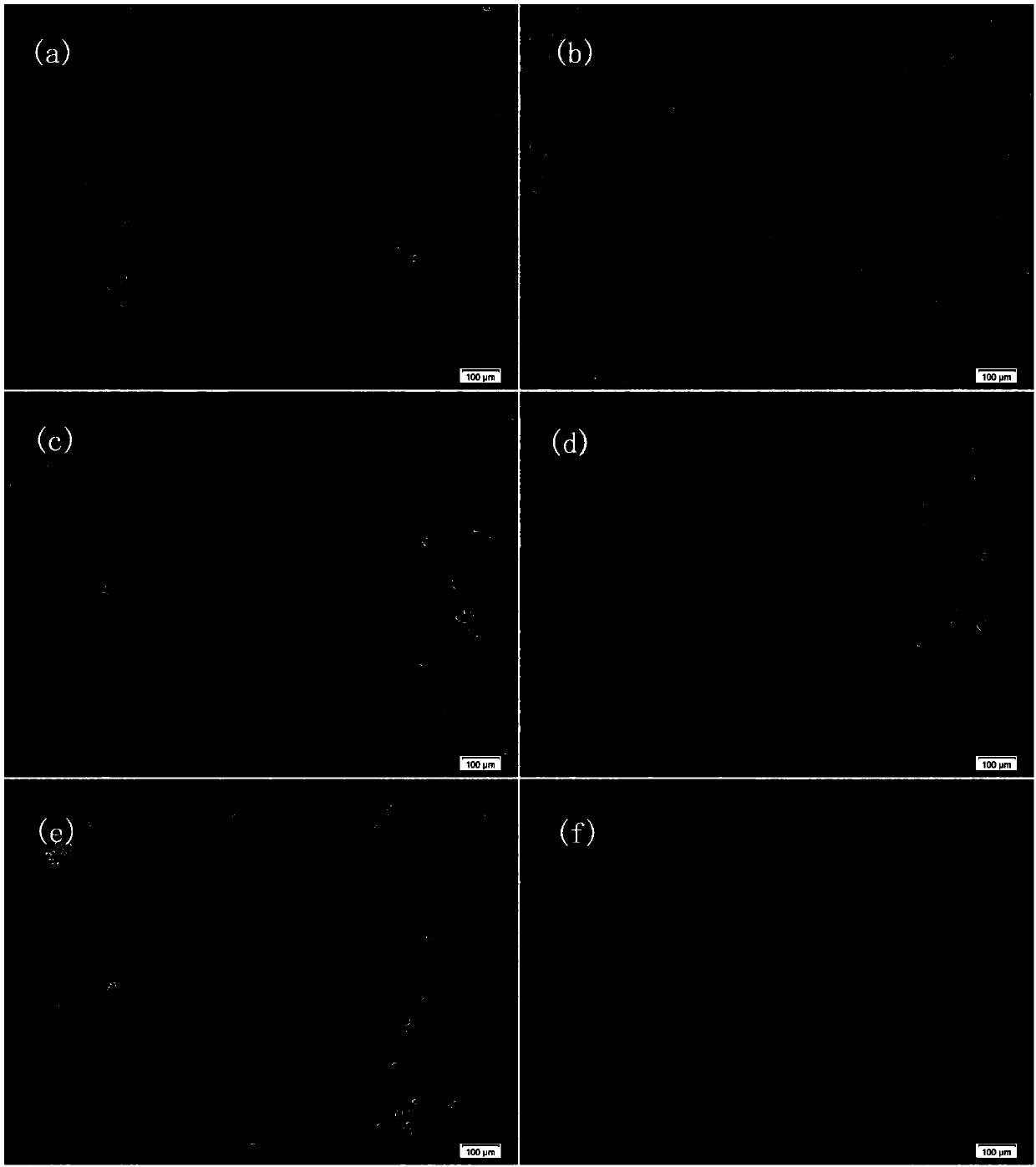 Compound for repairing damaged skin and preparation method thereof