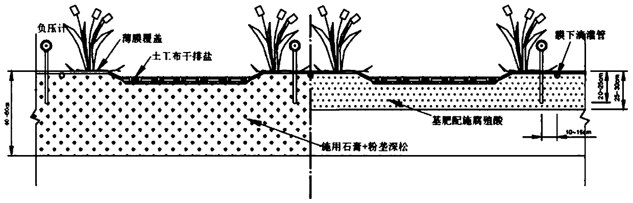 Water saving and fertilizer controlling ecologic governing and synergic utilizing method for heavily salinized land