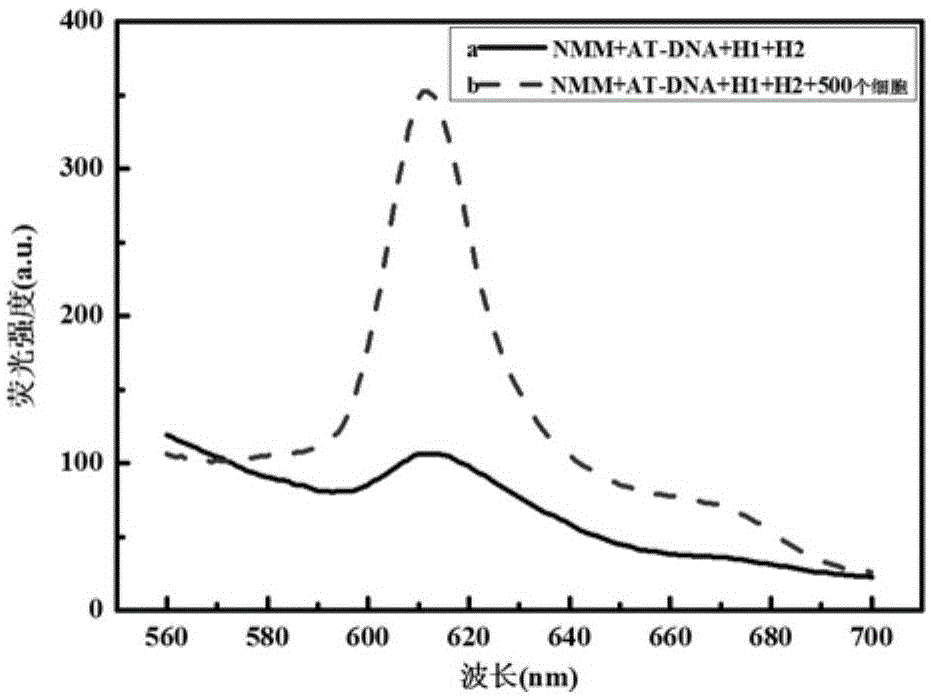 Triple-amplification-technology-based homogeneous-phase label-free method for detecting activity of telomerase