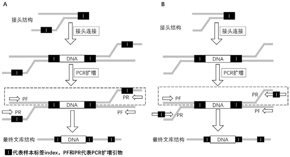 Double-label joint design method and preparation method thereof