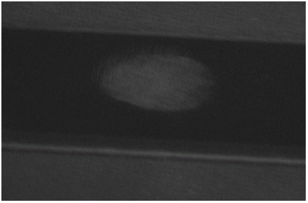 Method for developing fingerprint on skin by using Fe3O4/SiO2@Gd2O3:Eu,Bi materials