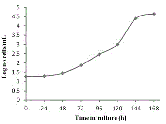 Primary culture method of ampullaria gigas heart tissue cell